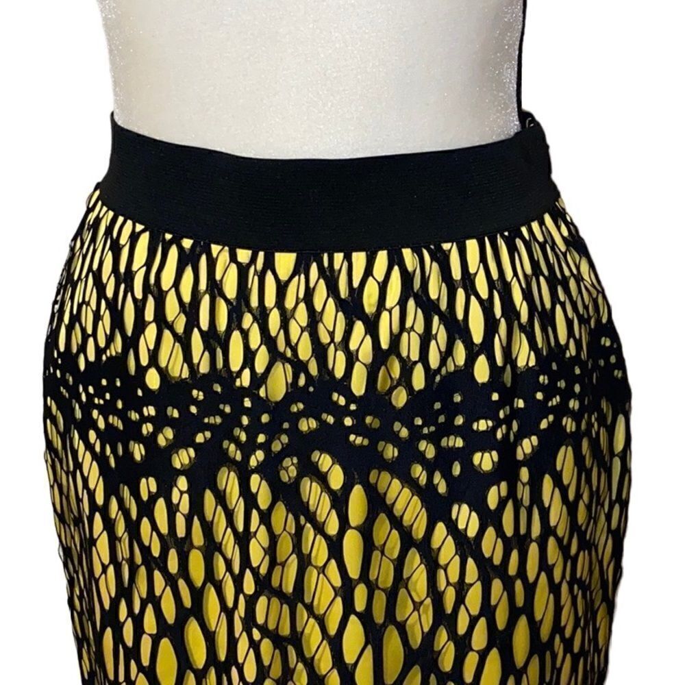 Robert Rodriguez Lace Overlay Mini Skirt - Picture 2 of 9